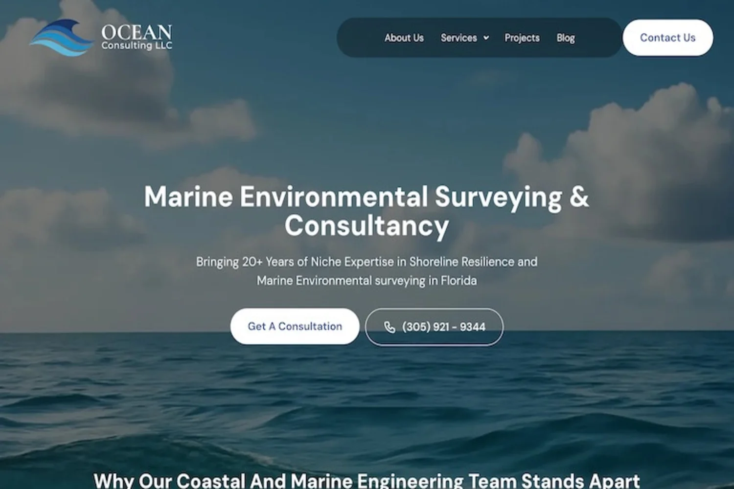 Ocean Consulting LLC